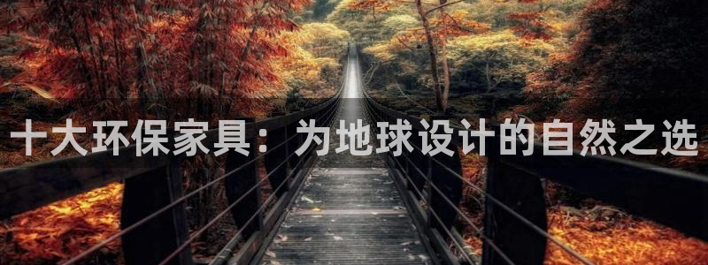 杏宇平台可以提款吗：十大环保家具：为地球设计的自然之选