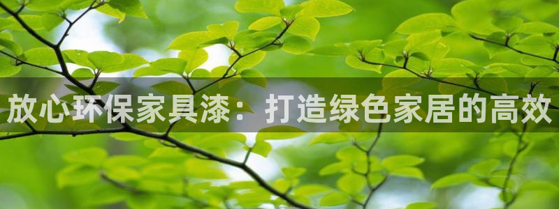 杏宇注册登入：放心环保家具漆：打造绿色家居的高效