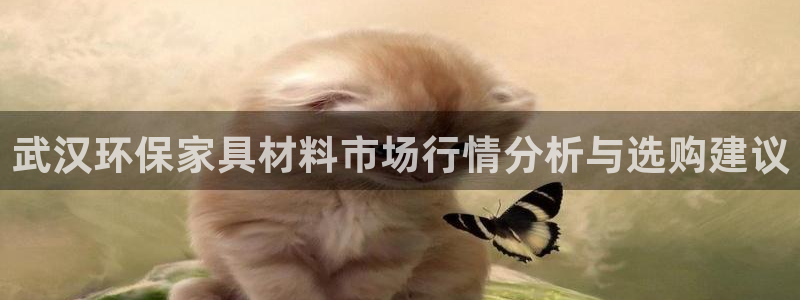 杏宇平台在哪里：武汉环保家具材料市场行情分析与选购建议