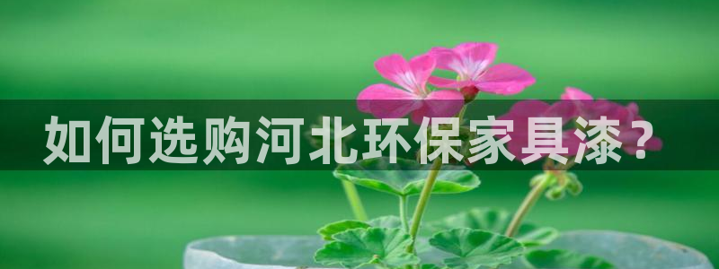 杏宇平台登陆官网：如何选购河北环保家具漆？