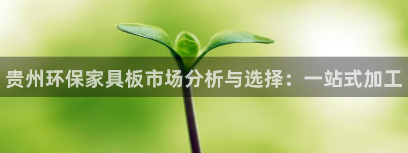 杏宇平台已7O777