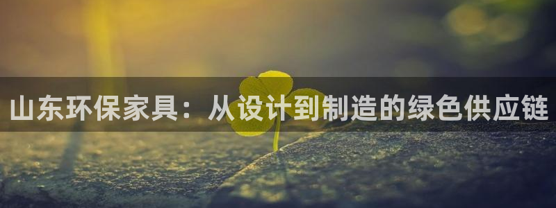 杏宇客户端登陆：山东环保家具：从设计到制造的绿色供应链