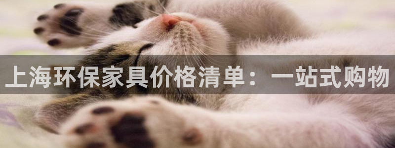 杏宇平台登陆地址：上海环保家具价格清单：一站式购物