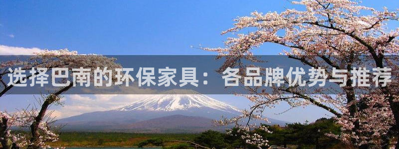 杏宇平台线路测试