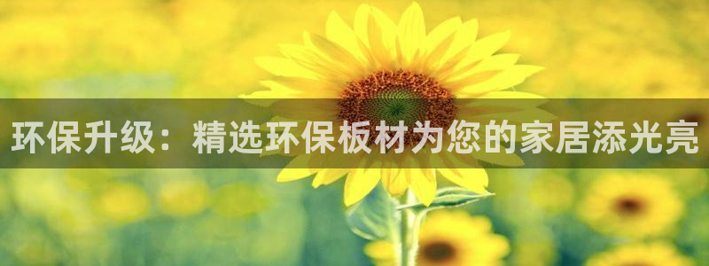 杏宇平台线路测速：环保升级：精选环保板材为您的家居添光亮