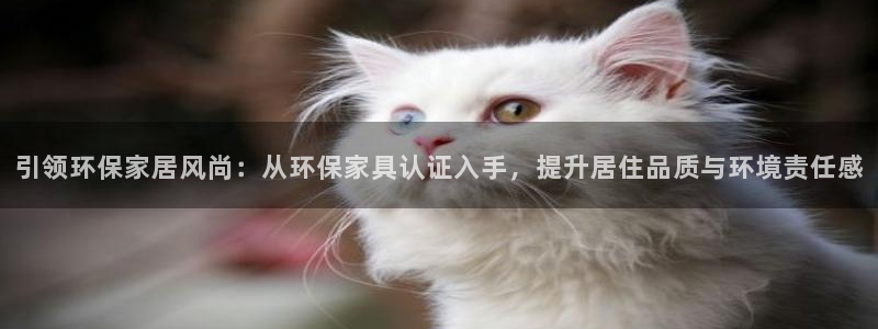 杏宇平台娱乐：引领环保家居风尚：从环保家具认证入手，提升居住