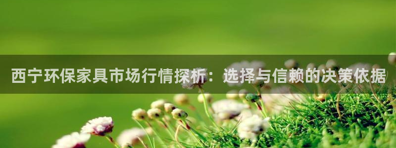 杏宇注册杏宇登陆：西宁环保家具市场行情探析：选择与信赖的决策