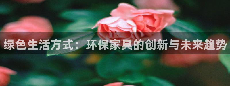 杏宇平台待遇