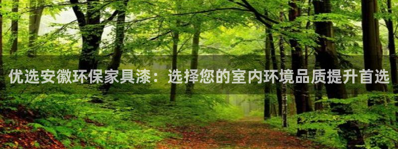 杏宇代理注册中心：优选安徽环保家具漆：选择您的室内环境品质提
