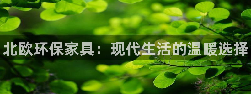 杏宇客户端登陆：北欧环保家具：现代生活的温暖选择