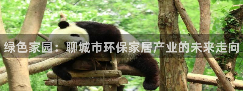 杏宇平台注册入口：绿色家园：聊城市环保家居产业的未来走向