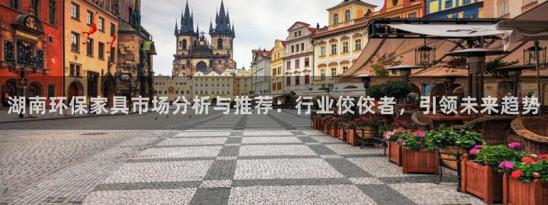 杏宇注册网址：湖南环保家具市场分析与推荐：行业佼佼者，引领未