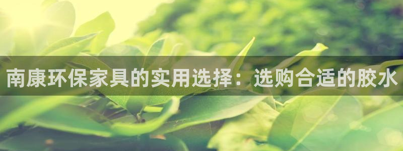 杏宇平台注册代理：南康环保家具的实用选择：选购合适的胶水