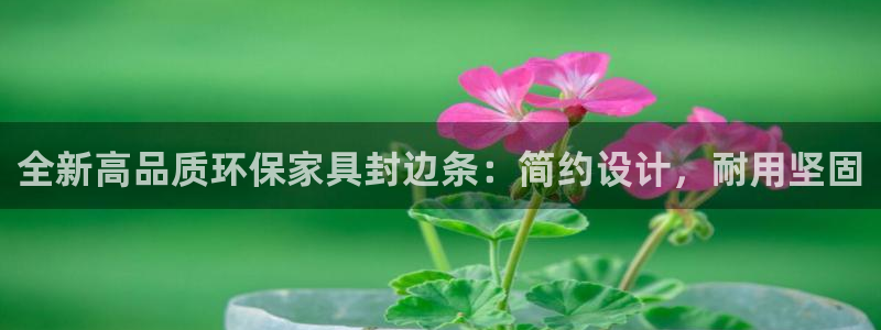 杏宇代理连接