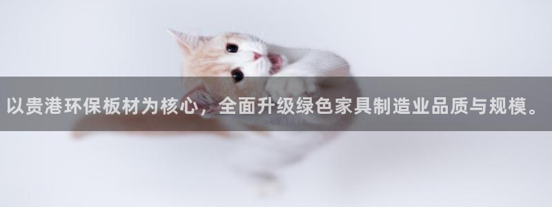 杏宇平台手机下载：以贵港环保板材为核心，全面升级绿色家具制造