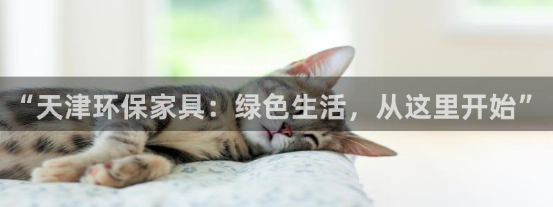 杏宇平台一安全注册入口：“天津环保家具：绿色生活，从这里开始