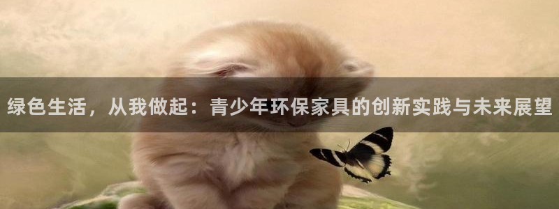 杏宇平台手机：绿色生活，从我做起：青少年环保家具的创新实践与