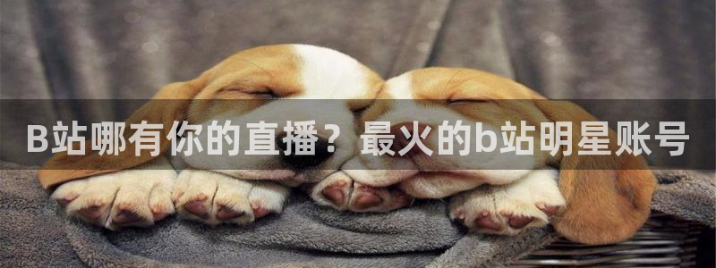 龙门直播nba下载：B站哪有你的直播？最火的b站明星账号