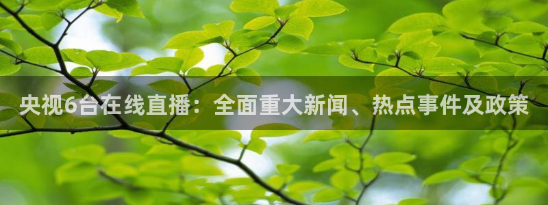 龙门镖局1.5在线观看免费完整版：央视6台在线直播：全面重大新闻、热点事件及政策