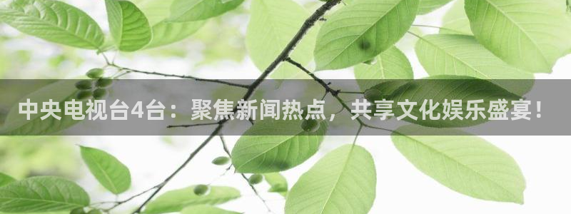 龙门直播：中央电视台4台：聚焦新闻热点，共享文化娱乐盛宴！