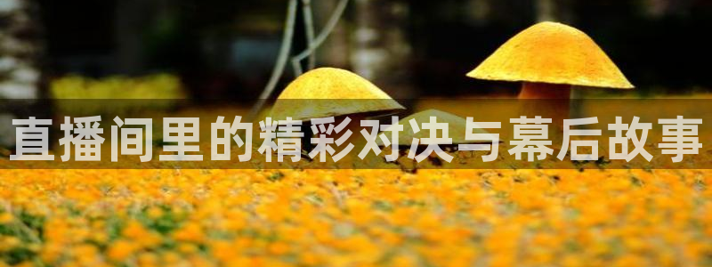 龙门直播app体育：直播间里的精彩对决与幕后故事