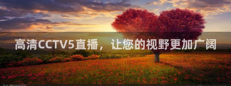 龙门免费直播：高清CCTV5直播，让您的视野更加广阔